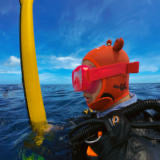 Little Crab Diving Hood