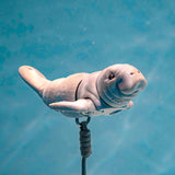 Manatee Floating Buddy