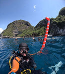 Garden eel SMB